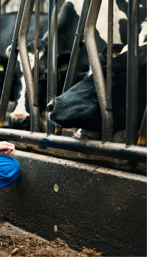 2e-dubbel-foto-right-voedseltransitie