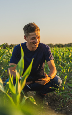 Intro-left-voedseltransitie