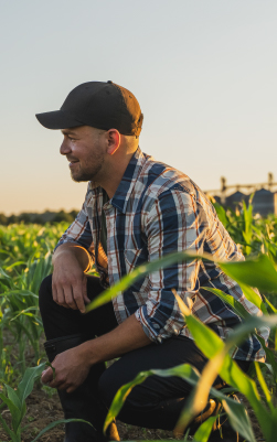 Intro-right-voedseltransitie